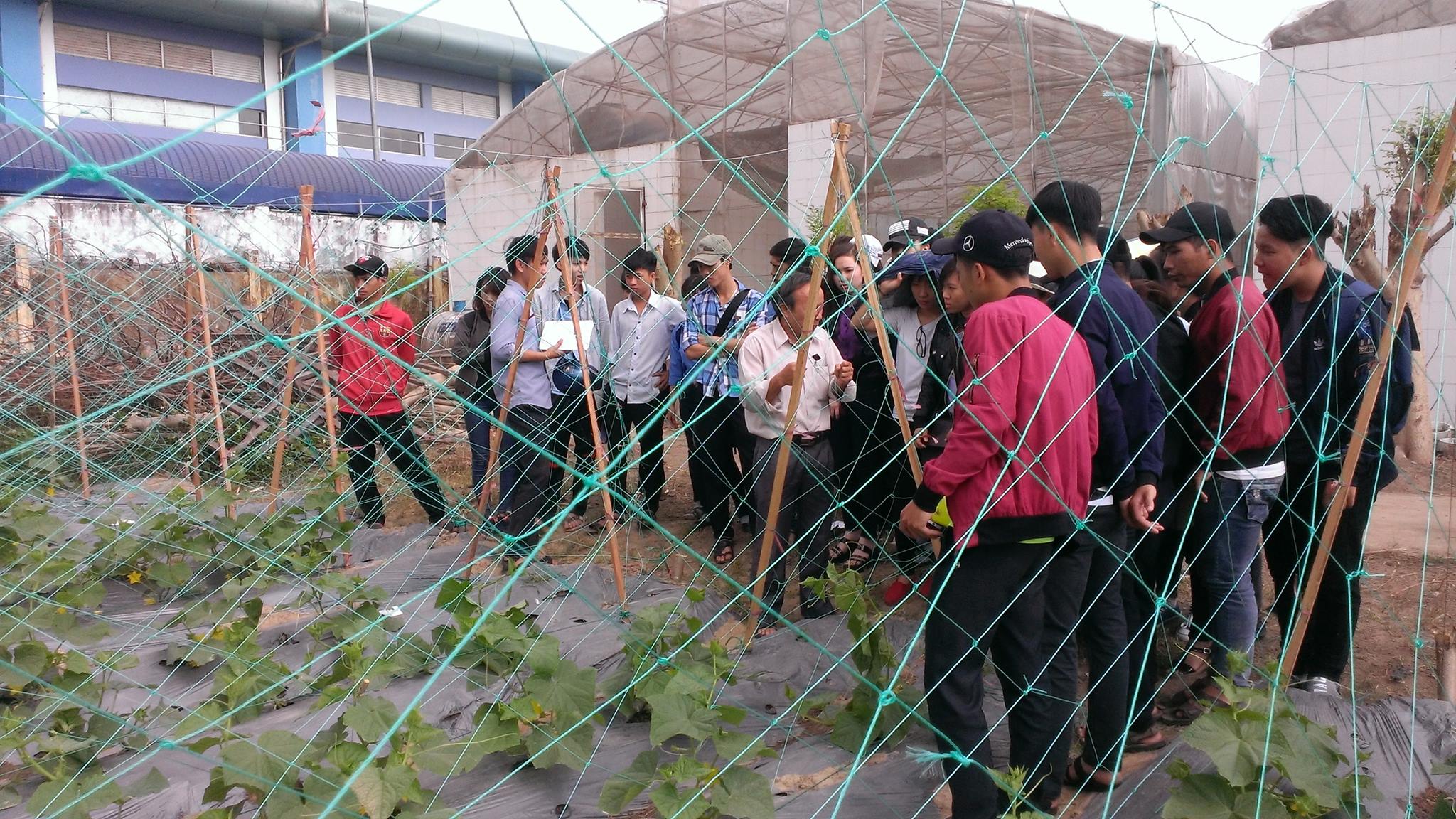Sinh viên nông học khóa 37 - Đại học Quy Nhơn đến thăm quan 