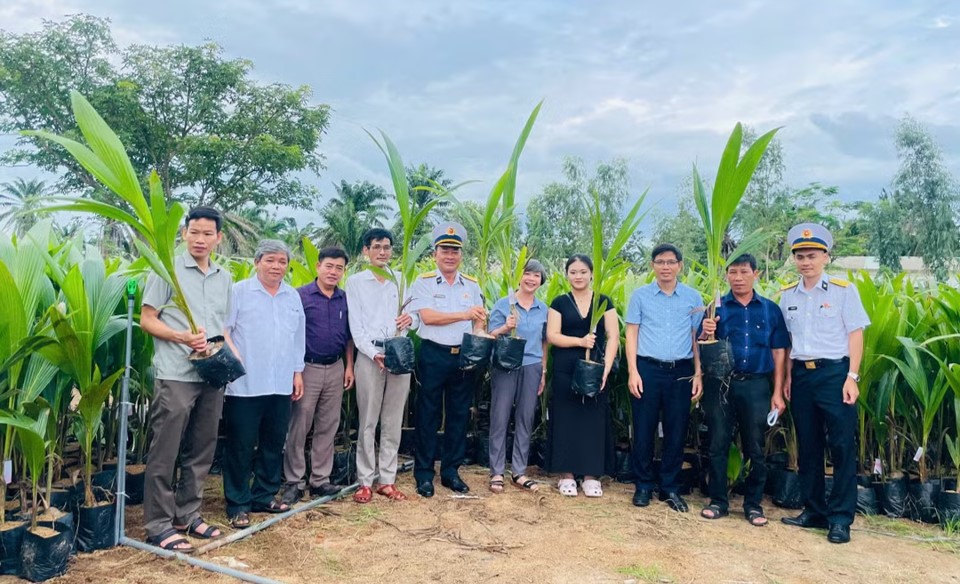 Gia Lai trao 11.100 cây dừa giống, tiếp sức “Xanh hóa Trường Sa”