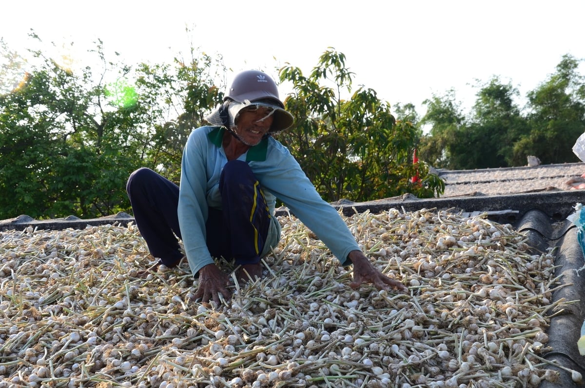 Khoa học công nghệ 