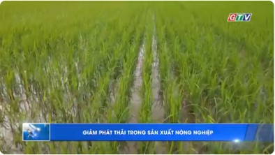 Giảm phát thải trong sản xuất nông nghiệp tỉnh Gia Lai